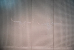 STANDPUNKT.e 2014 Nicole Beutler. Foto 7