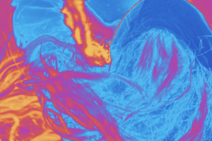 Netzwerk TanzPlusSüd: OPEN CALL