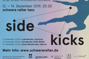 side.kicks 2019 I Archiv
