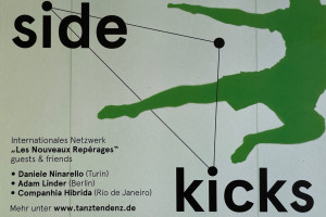 side.kicks 2014 I Archiv