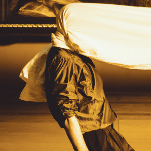 Meta Theater | oester & Muziektheater Transparant Antwerpen: STYX / PASSAGES