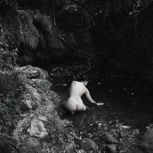 Stephanie Felber, Katharina Simons, Belinda Winkelmann: UNTAMED BODY