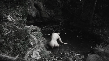 Stephanie Felber, Katharina Simons, Belinda Winkelmann: UNTAMED BODY